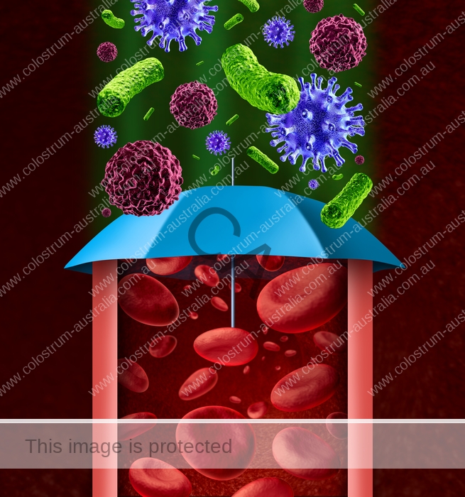 Human Immune System protecting against virus bacteria and disease