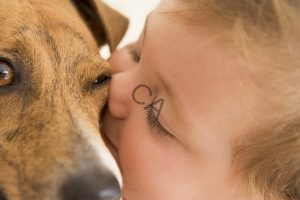 Young child kissing dog protect them with alpha lipid lifeline colostrum