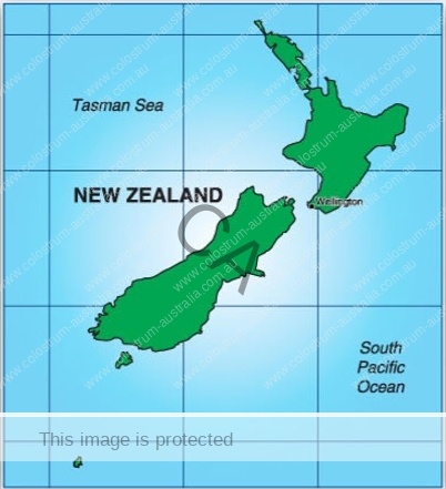 NZ Pic