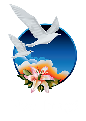 new image logo New Image Logo