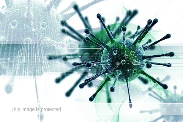 Virus image under the microscope