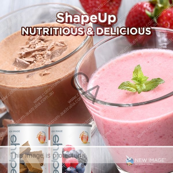 ShapeUp Meal Replacement