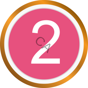 Number 2 Number 2 reasons of aging skin