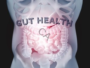 colostrum for gut health intestinal support