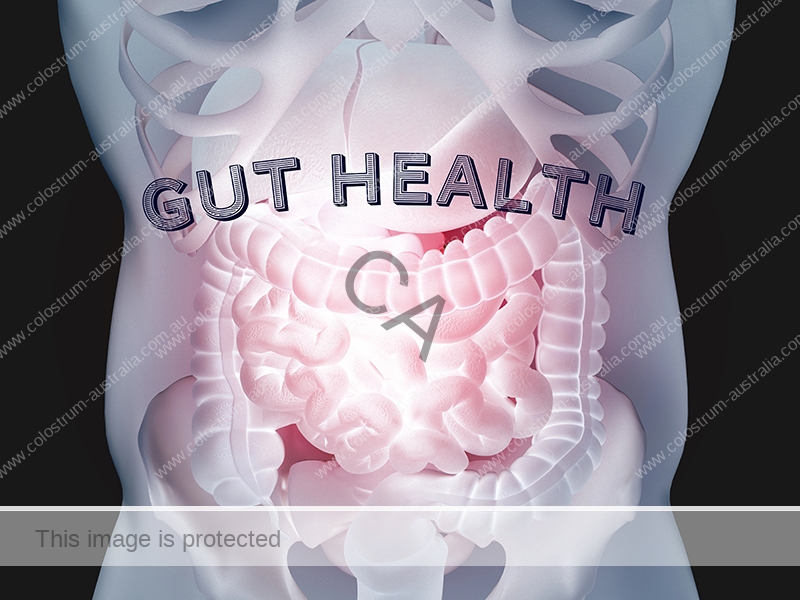 Gut Health intestinial colostrum for gut health intestinal support
