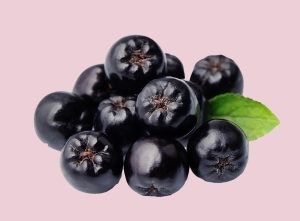 Black Chokeberry REsmax